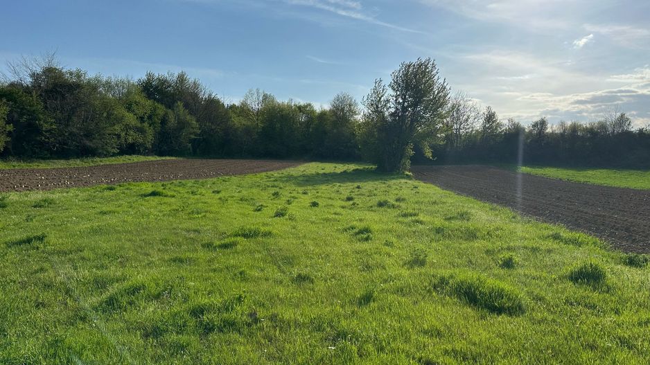 VÂNZARE TEREN CU POTENȚIAL MULTIPLU - Poză 3