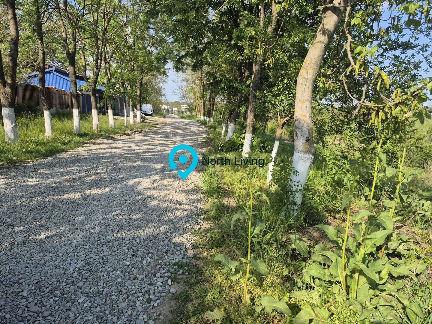 TEREN CU DESCHIDERE LA LAC / LA DOAR 100 M DE PADURE / UTILITATI - Poză 3