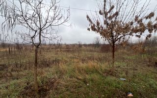 Teren la DN7 - ideal investitie (Benzinarie, spalatorie, hala, rezidential) - Poză 10