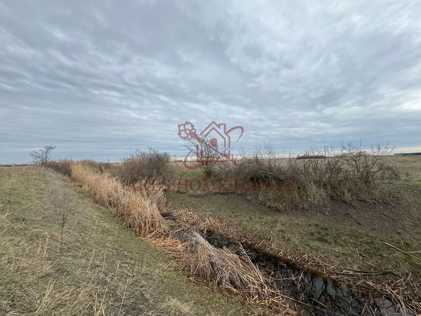 Teren 5.000 mp centura Calea Sagului- Freidorf. Comision 0 - Poză 4