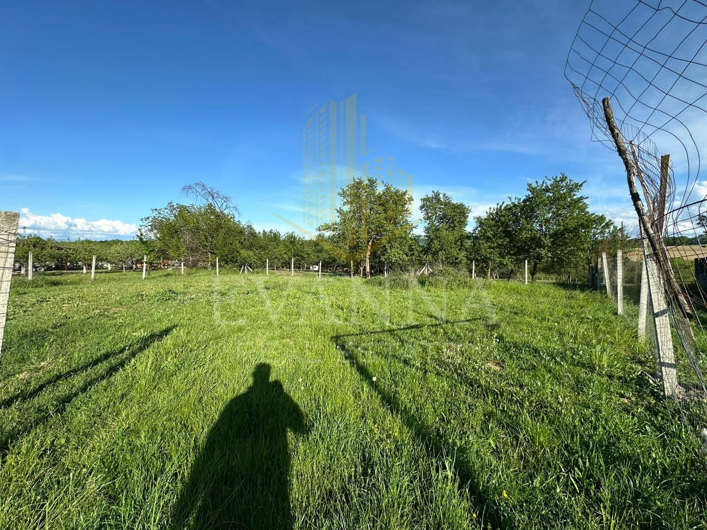 Casă de vânzare | Bucium - Runc (Buciumi) | 1500mp teren - Poză 8