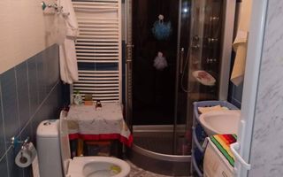 2 case + teren + anexe - proprietate completa in Coteana - Poză 5