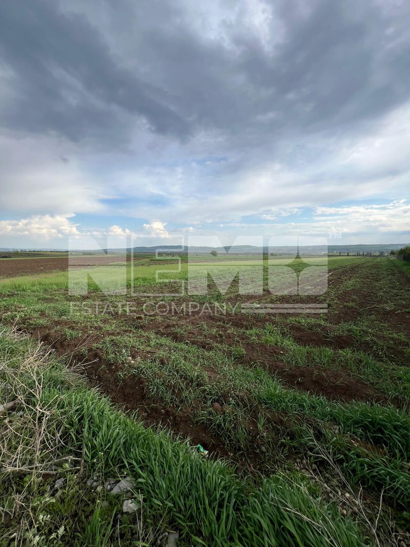 🌟 Teren de Vânzare 20 Ari | Salcea, Suceava | 💥 Preț: €30.000 - Poză 2