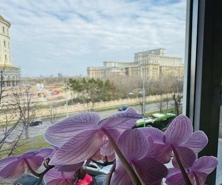 Apartament 3camere 13 septemgrie/Merriott - Poză 3