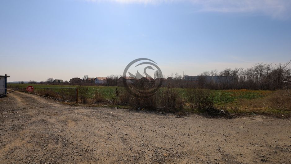 Teren de vanzare/inchiriere | 7800mp | Parcul Industrial | COMISION 0% - Poză 4