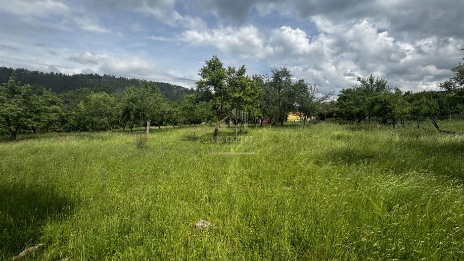 TEREN INTRAVILAN 4600 MP, VOINESTI, LERESTI, ARGEȘ - Poză 13