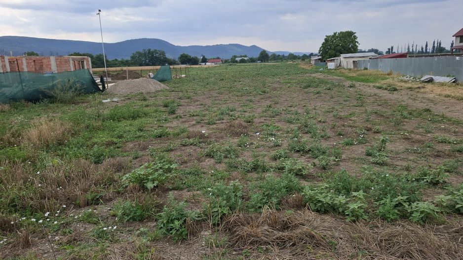 Terenuri intravilane de vânzare în Radomirești – Letea Veche, județul - Poză 11