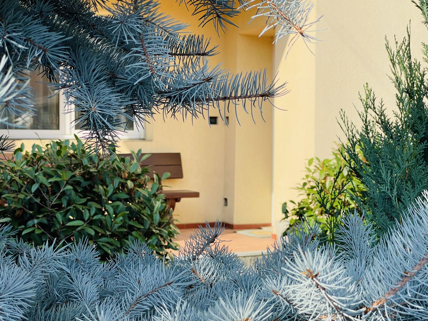 Casa individuala cu 4 dormitoare, 184 mp | Garaj & Gradina | Fropin - Poză 18