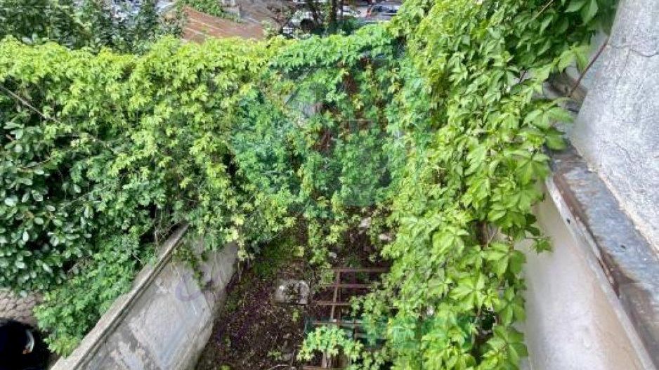 Casa cu personalitate de la 1900 Eminescu-Romana - Poză 4