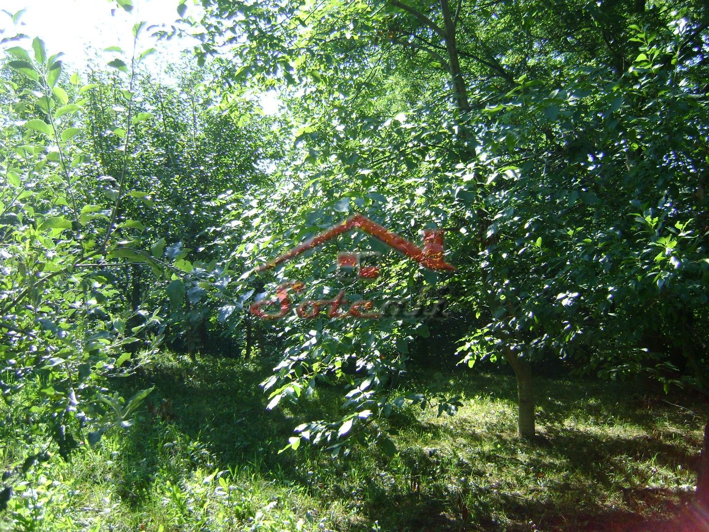 Teren de vânzare în Breaza– zonă liniștită, ideal pentru relaxare - Poză 12