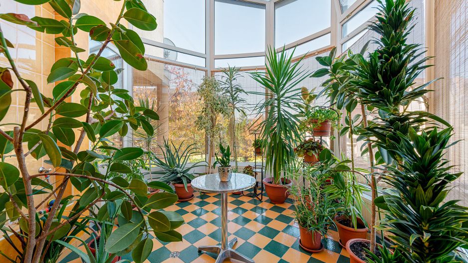 VILĂ 550 mp, LOT 1.006 mp Cartier Europa - Poză 14