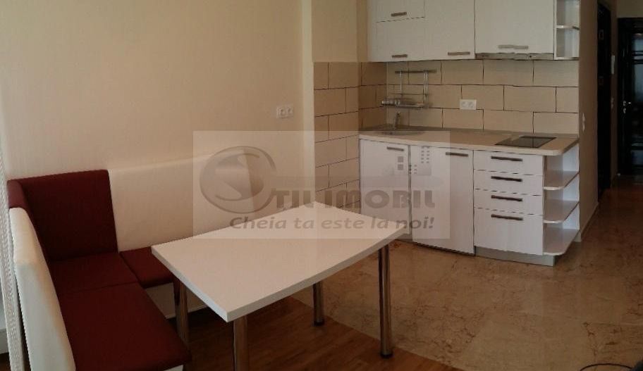 Apartament 1 camera - Exclusive Residence COPOU- 390 EURO - Poză 2