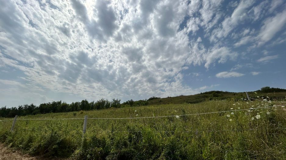 Teren intravilan , localitatea Rascruci ( Cluj) - Poză 4