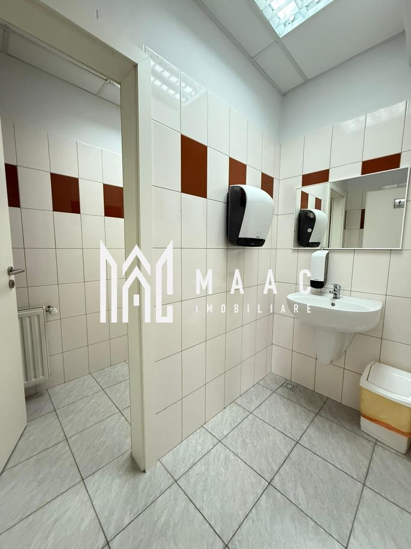 Spatiu de birouri I 186 mpu I Etajul 1 I Zona Sub arini - Poză 11