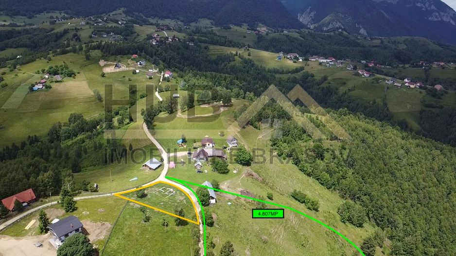 Oportunitate Investitie | Teren Pestera | 4.807mp | Utilitati Gaz/Curent - Poză 4