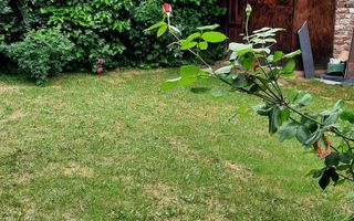 Inchiriere, vila P+M, str. Popa Nan, rond Alba Iulia - Poză 4