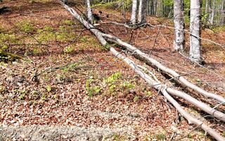 Teren Extravilan 23.000 mp | Valea Doftanei-Secăria | 11 €/mp - Poză 5