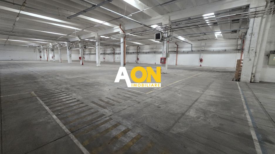 Hala 2750mp Utili Zona Centrala, 2800mp Teren - Poză 3