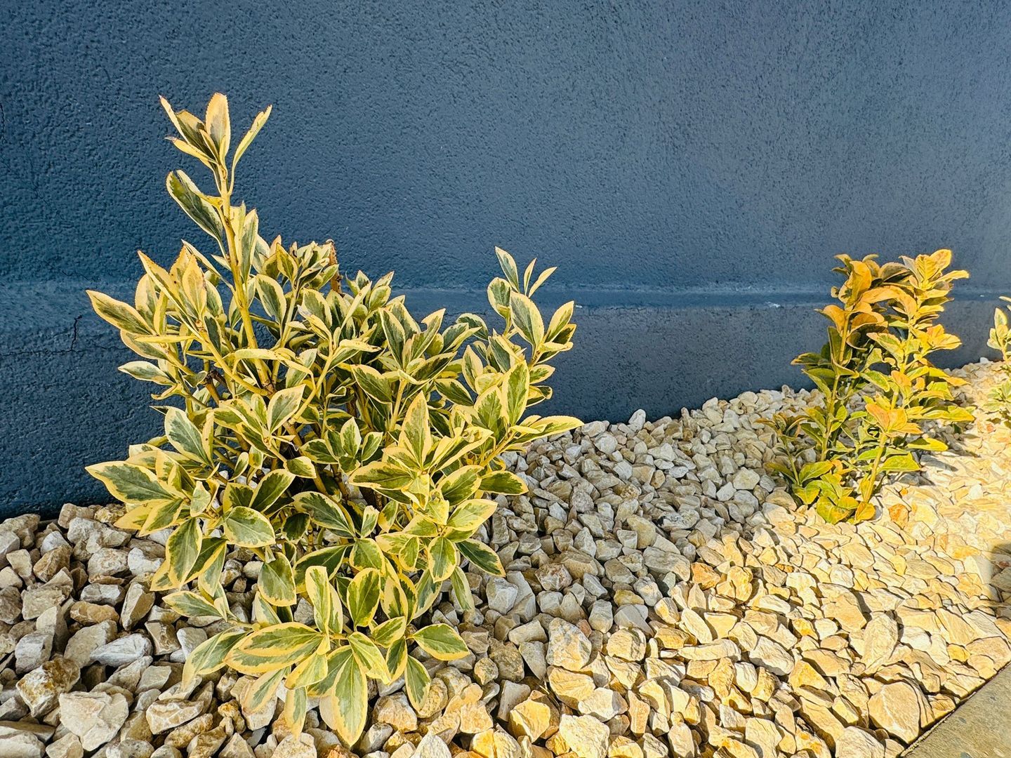 Vila P+1+M 5 camere Popesti-Leordeni - Poză 27