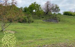 Teren Extravilan - Ghinda - 3.5000mp-Parcelabil - Poză 4