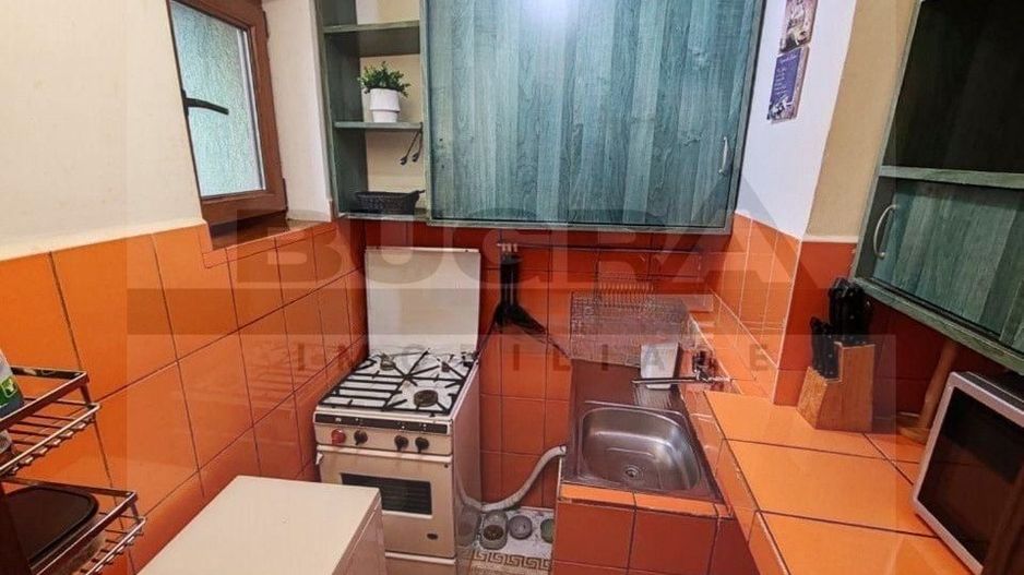 Apartament 2 camere,  30 mp, zona Albac - Poză 8