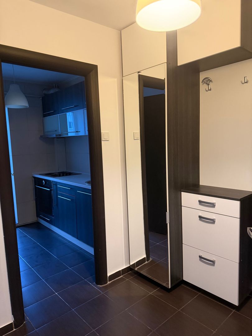 Vanzare Apartament 2 camere in Titan - Nicolae Grigorescu - Poză 8