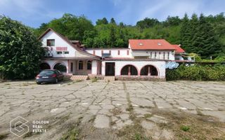 Casa P+1+M, Lipova - Poză 1