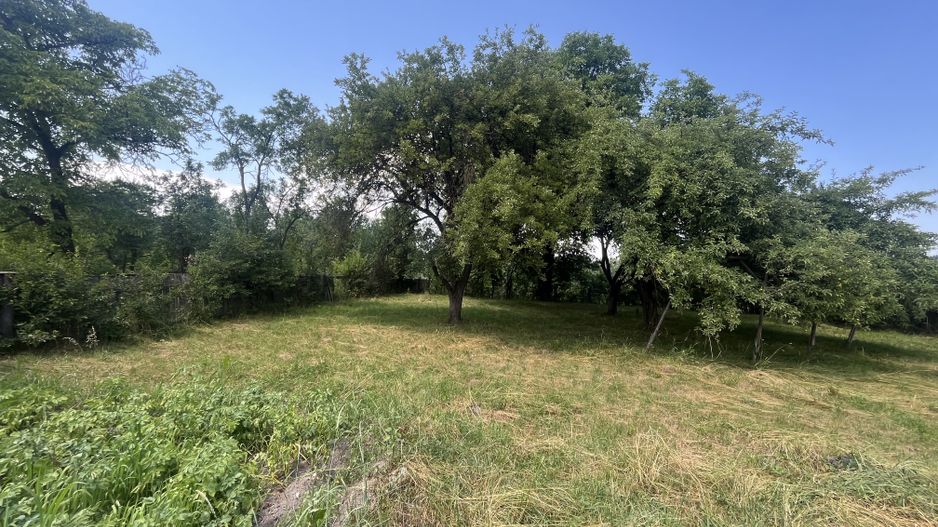 GRADINA BUNICII DE ODINIOARA,DE VANZARE -PAPAUTI,COVASNA. - Poză 8