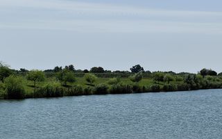 Balta de Pescuit | Cabana din Busteni | Teren 6,37 ha | langa Oradea - Poză 16