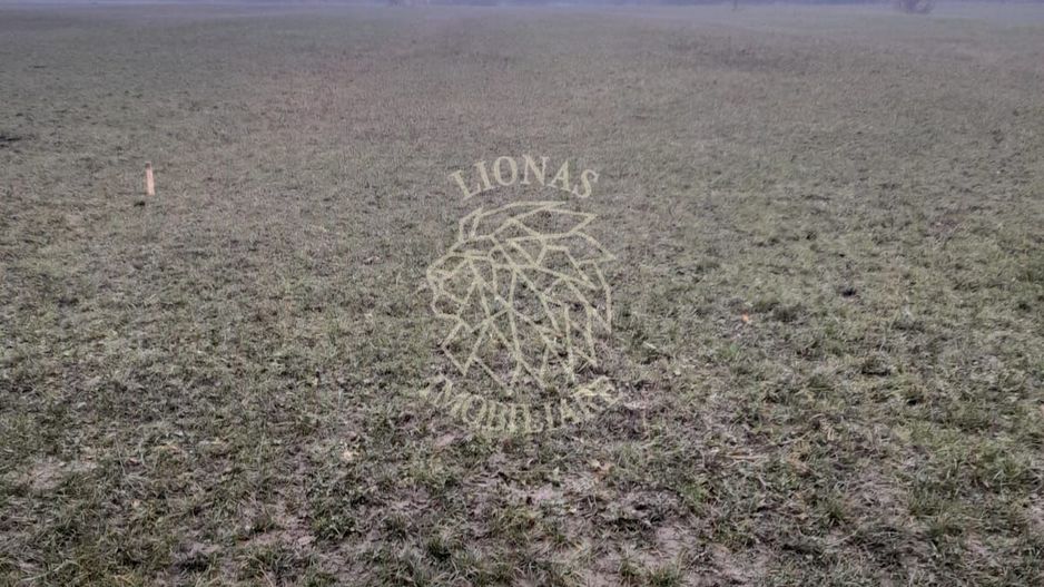 Teren 1698 mp-ideal investitie-Dumitrita, 15 km de Bistrita - Poză 4