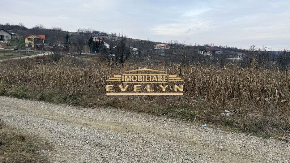 Teren intravilan de vânzare – Mănăstirea Doamnei - Poză 2