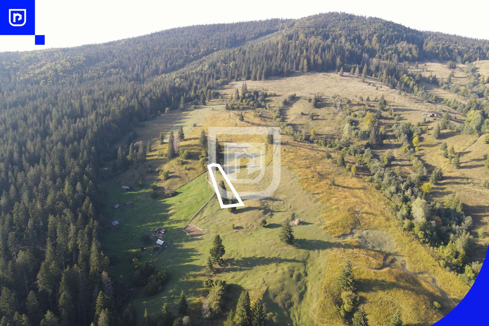 Teren situat in Frasin | BUCOVINA - Poză 7