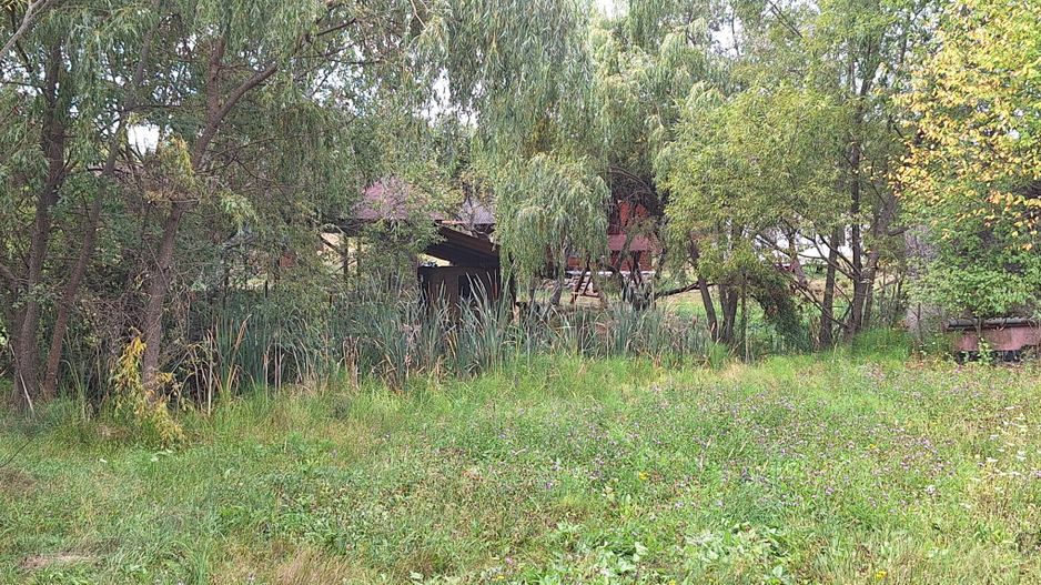 VANZARE ANSAMBLU CASUTE BRADULET ARGES - Poză 8