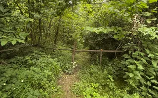 Teren plat-intravilan -3800 mp, cu pădurice și ieșire la râu! - Poză 24