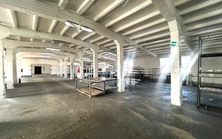 Spațiu industrial – hală etajată de închiriat - Poză 9