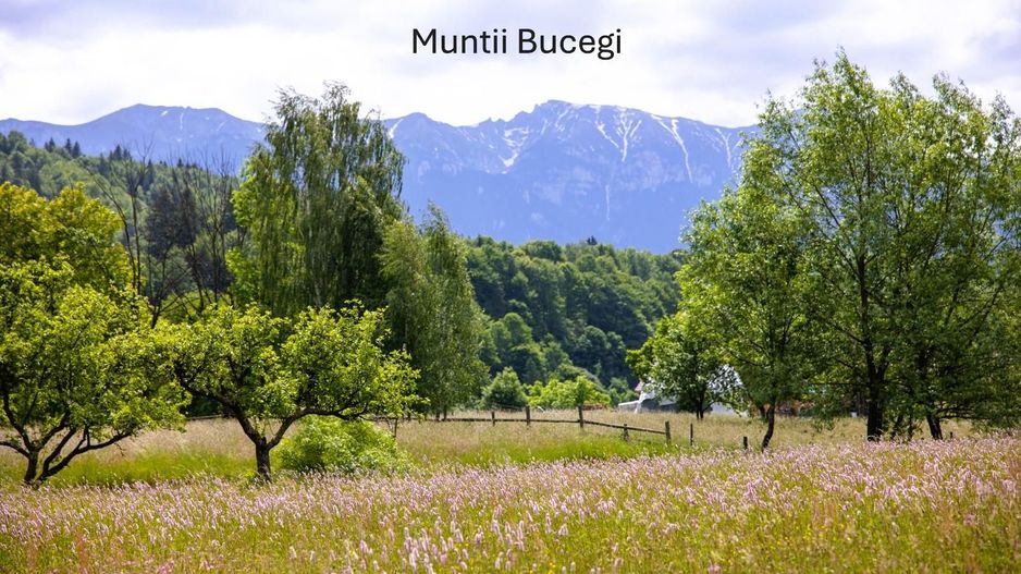 Teren intravilan - 1.050 mp în Bran cu utilitati – priveliște Bucegi - Poză 2