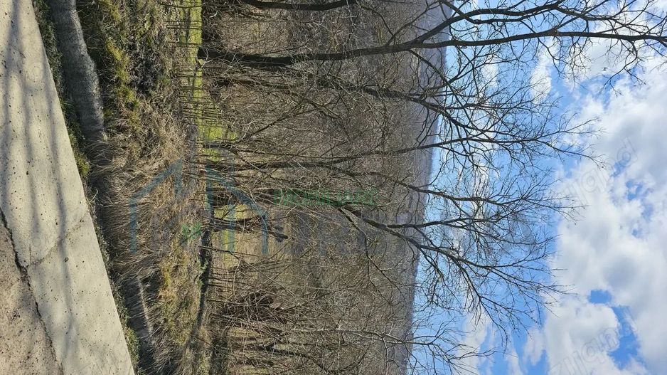 Teren intravilan sat Pocreaca com Schitul Duca Iasi - Poză 3