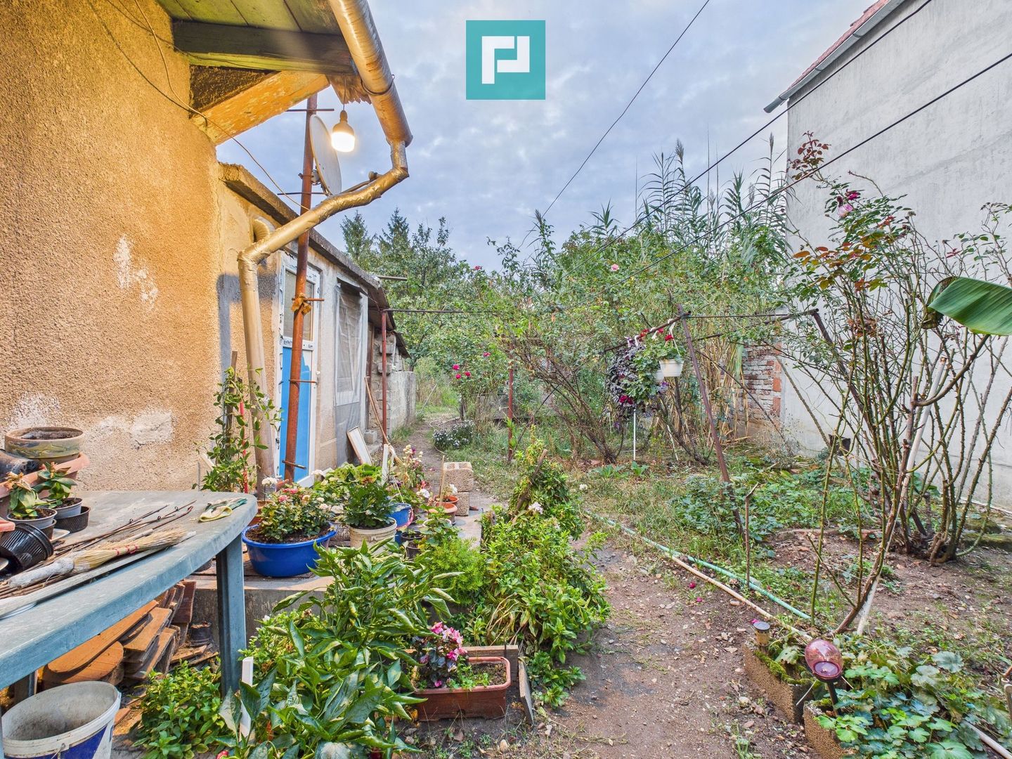 Casă modestă cu 3 camere în Aradul Nou - Poză 9