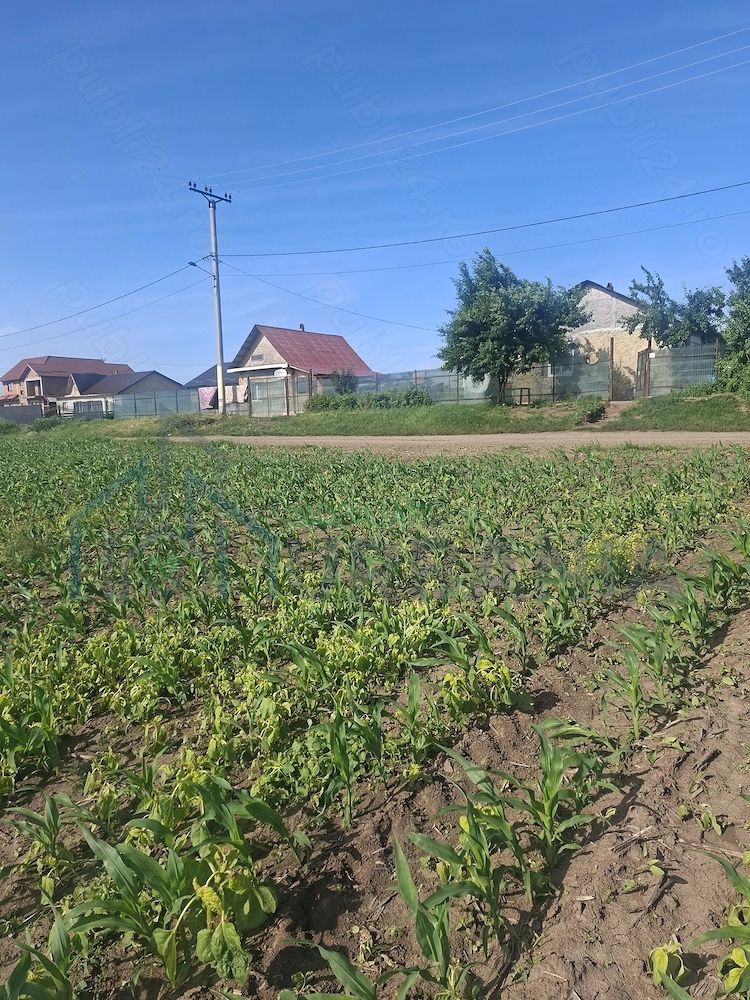 Teren de 6500 mp pentru construcție casă, Popesti - Poză 1
