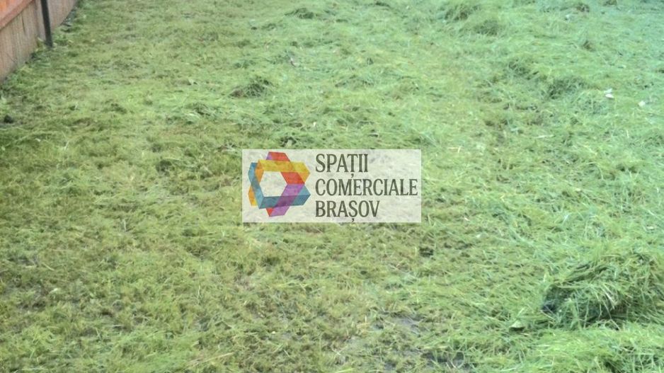 Spatiu de birouri - 450 mp # plus-imo.ro - Poză 4