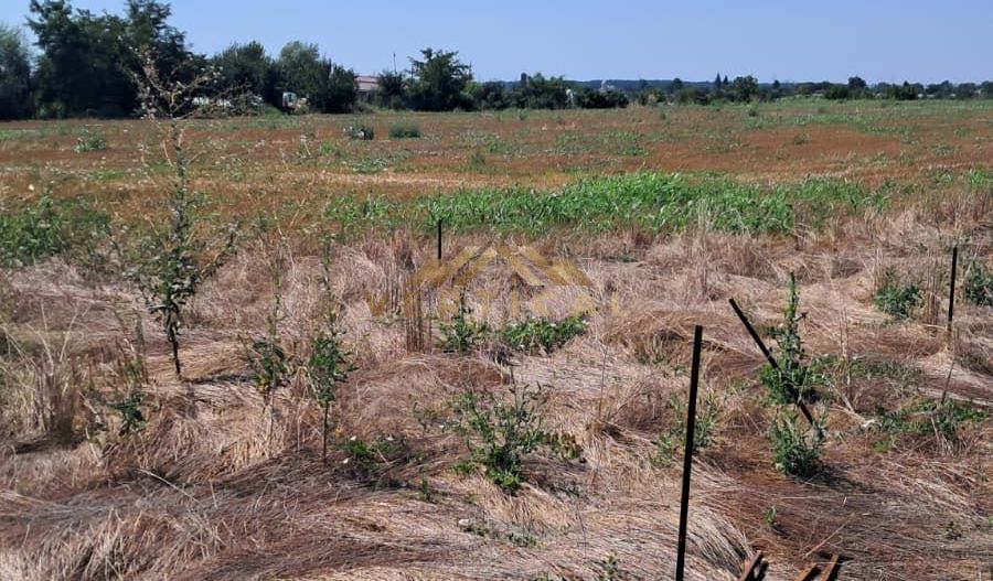 Teren Intravilan 500 mp de Vânzare – Vidra - Poză 3