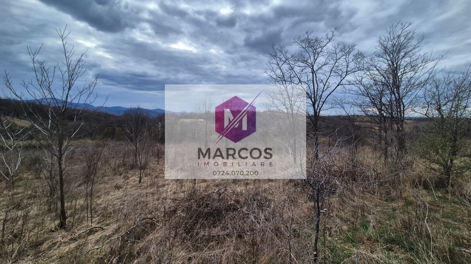 Vand 2 parcele de 5700 mp zona Iabalcea - Poză 3