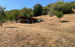 Teren intravilan 2700mp-ideal case-panoramic-Viisoara-Exclusivitate - Poză 2