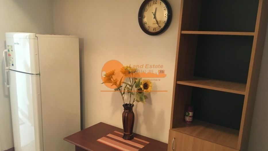 Garsoniera 13 Septembrie -Prosper - Poză 2