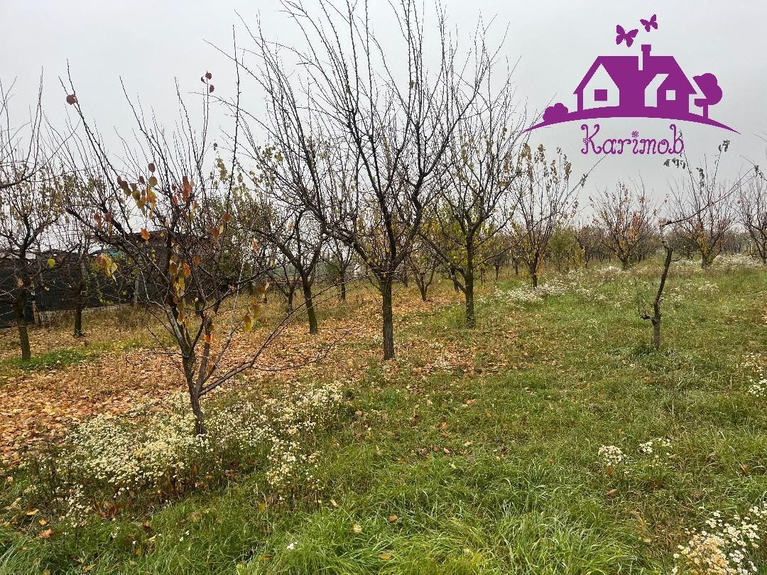 Parcela de teren Nojorid - Poză 2