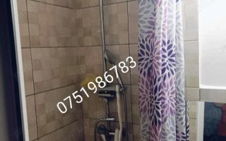 Apartament de închiriat zona Tatarasi- doi baieti - Poză 4