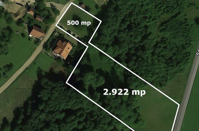 Teren 3349 mp de Vânzare | Bran – Panoramă Munții Bucegi - Poză 1