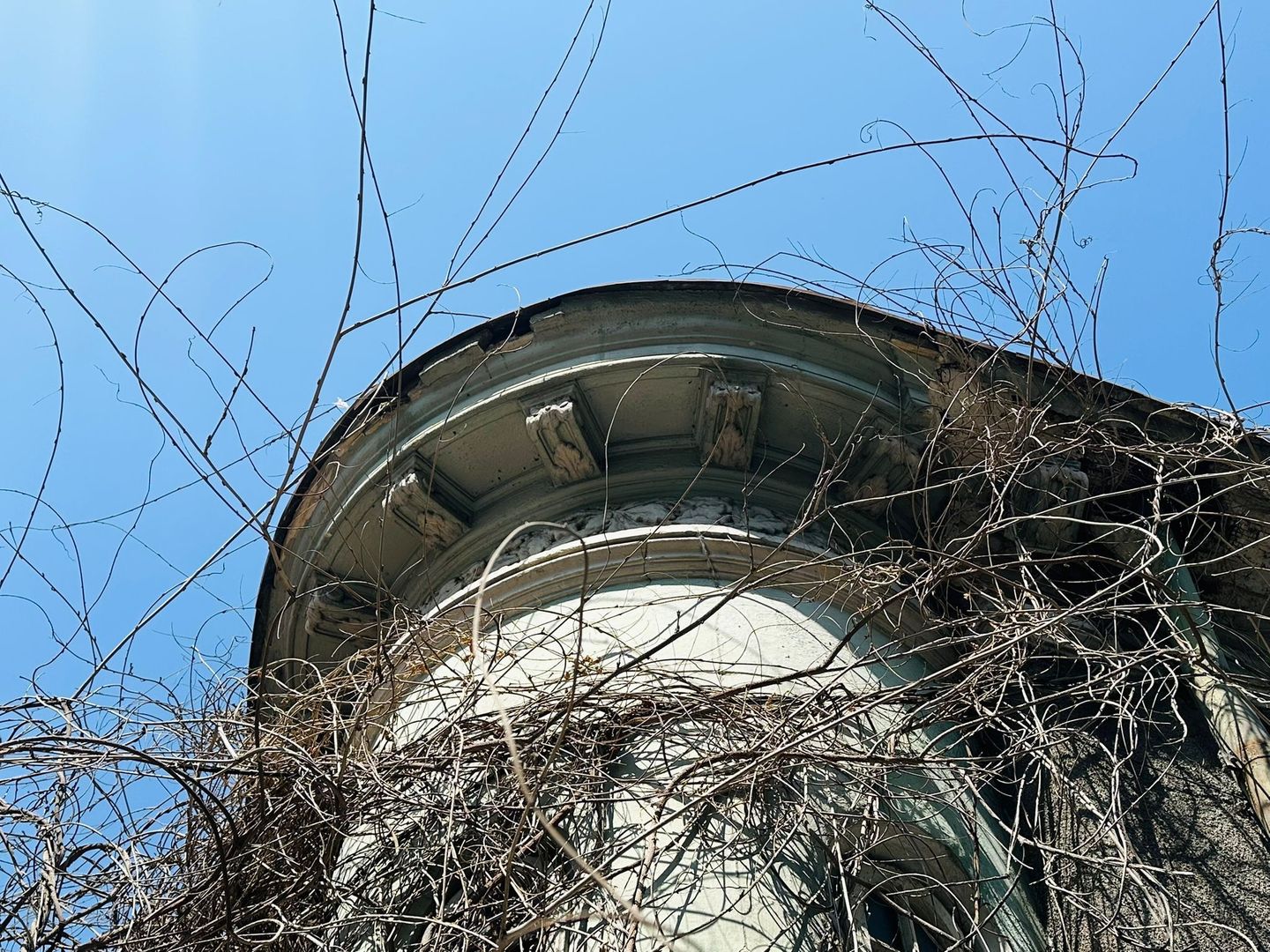 Armeneasca | Casa Individuala 303 mp teren - Poză 3