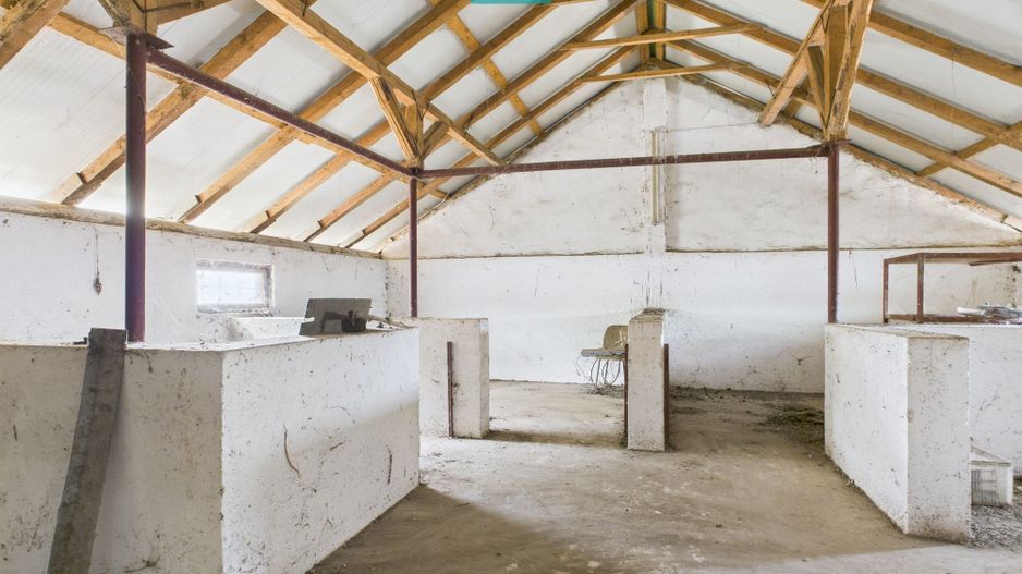 Hală pentru producție / fermă zootehnică  - Variaș - Poză 11