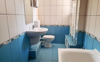 Duplex P+1 in bloc 2013 in Precupetii Vechi nr 65, 4 camere, curte - Poză 12